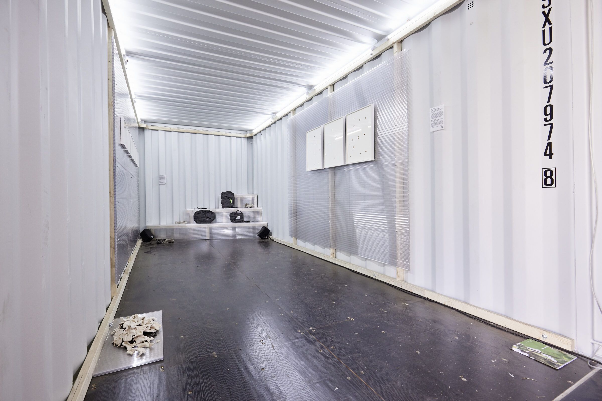 Der weiße Container mit Maike Denkers Arbeiten: an der Wand ein Triptychon, auf dem dunklen Boden Objekte.