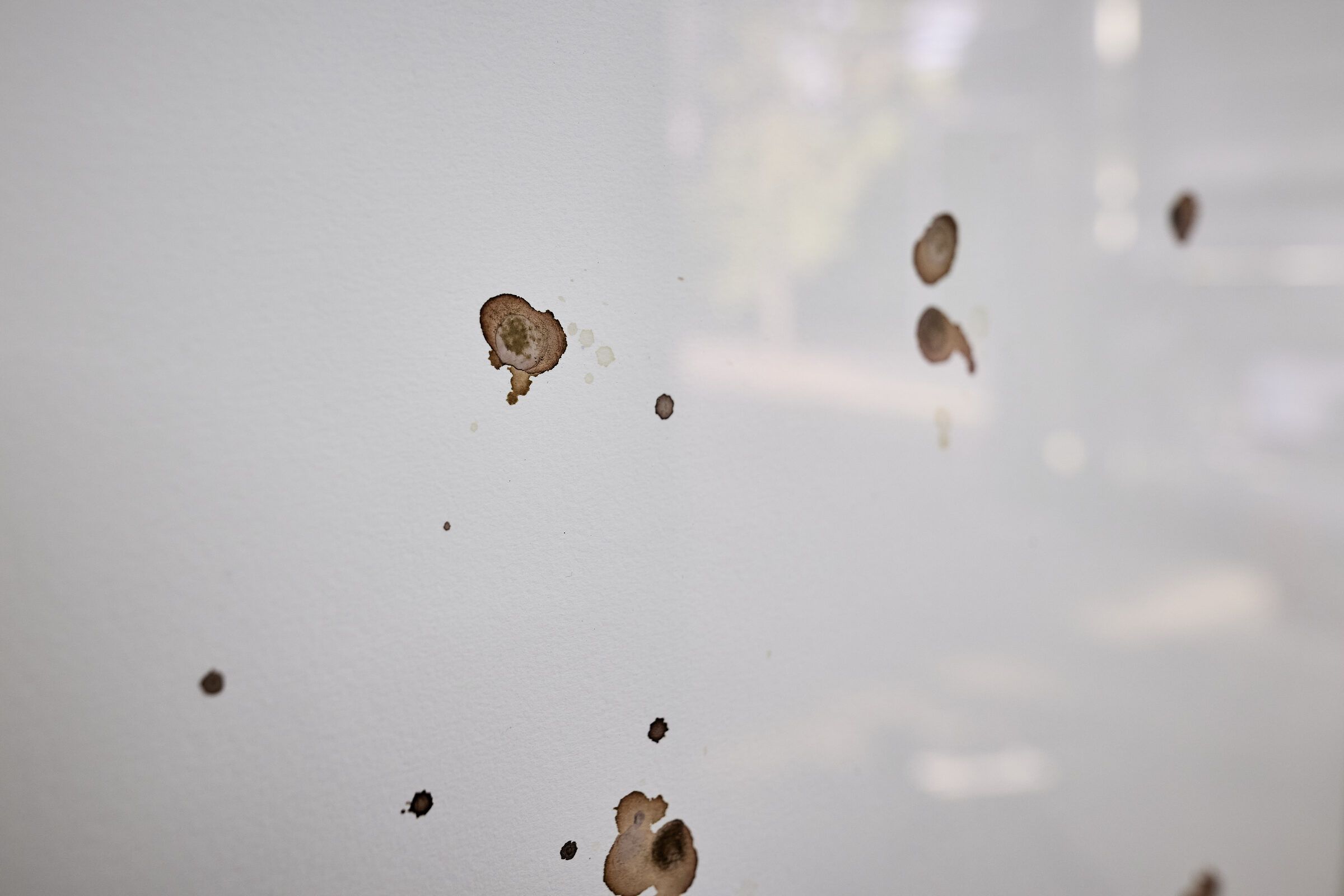 Nahaufnahme bräunlicher Farbspuren eines Schmetterlings auf weißem Papier.